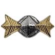 Star Trek Commodore Rank Pin